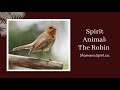 Animal Spirit Guide: The Robin (Shamanic Power Animal). Robin Symbolism