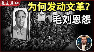 Why Did Chairman Mao Launch the Cultural Revolution? | What Caused the Conflict Between Mao and L...