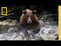 Are You Ready? A Sneak Peek into Nat Geo 2024 | National Geographic