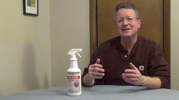 High Traffic Carpet Cleaner