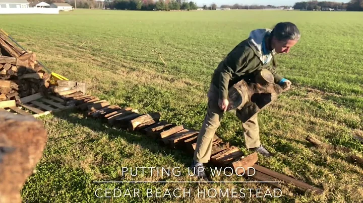 Putting up wood