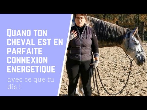 Quand ton cheval est en parfaite connexion énergétique avec ce que tu dis...