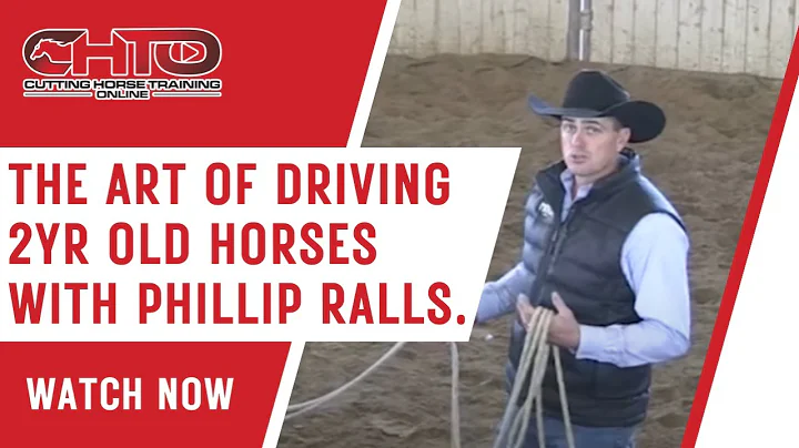 The Art Of Driving 2yr Old Horses with Phillip Ral...
