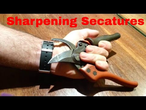 Sharpening Secateurs