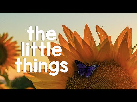 The Little Things