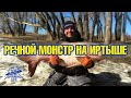 Огромная рыба на Иртыше - речной монстр