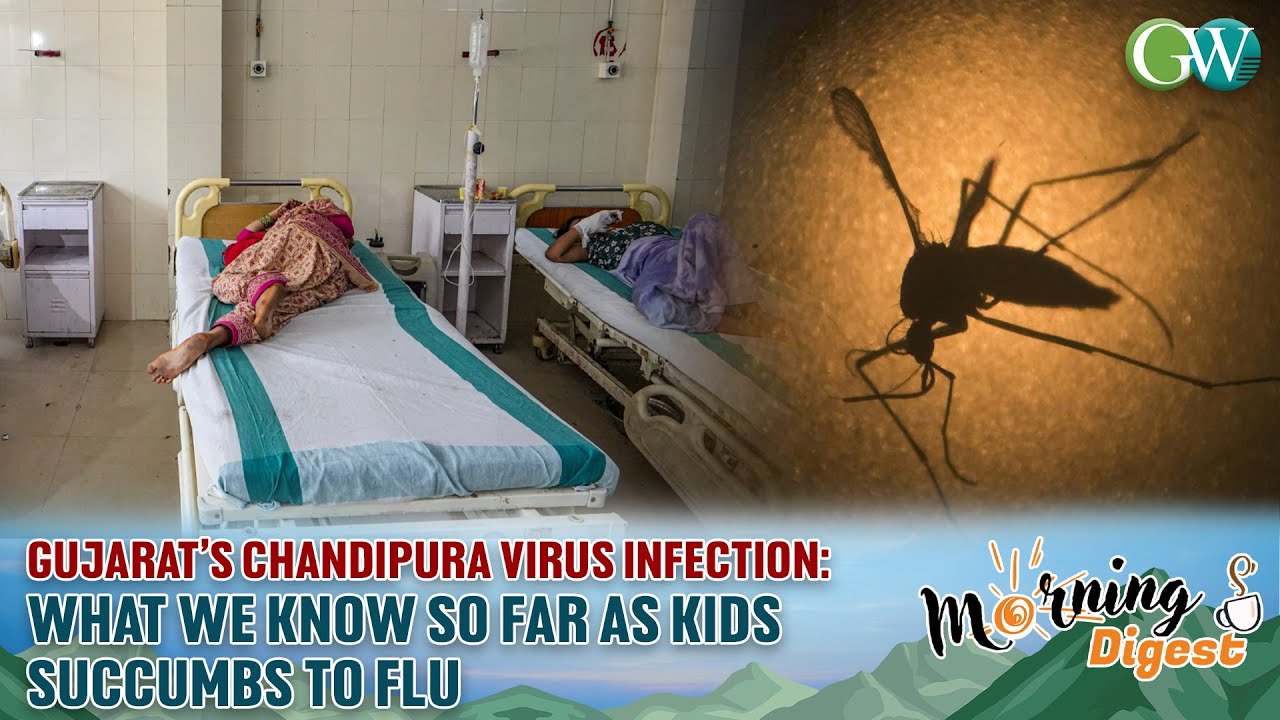 Sucomes GUJARAT’S CHANDIPURA VIRUS INFECTION: WHAT WE KNOW SO FAR AS KIDS ...