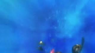 Grab Shell Dude Grab What Marlin Screams