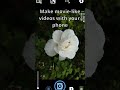 Your phone camera is enough to make great youtube videos
