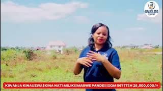 A 567-SQM Prime Plot for Sale at Mabwepande.