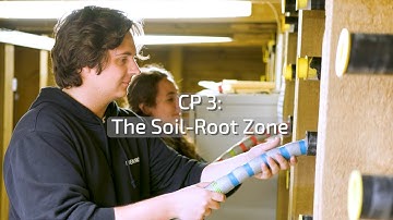 PhenoRob Core Project 3: The Soil-Root Zone