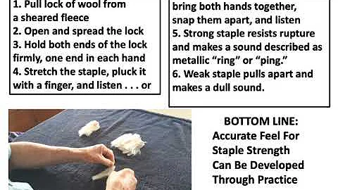Wool Video