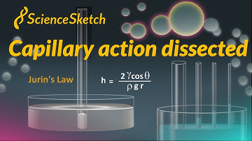 Capillary action dissected