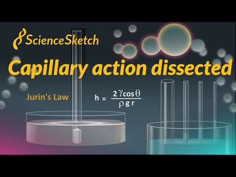 Capillary action dissected