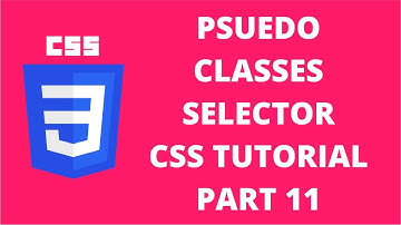 Pseudo Classes Selector Hierarchy CSS | CSS Tutorial Part 11