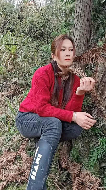 Mastran burung lucu viral kocak ngakak meme funny memes moments