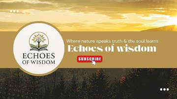 Welcome to Echoes of Wisdom - Intro Video