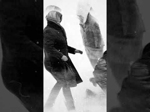 😳 Что такое «черная пурга» #крайнийсевер #природа #интересно