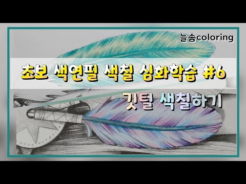 초보 색연필 색칠 심화학습 #6 / 깃털색칠하기 / 컬러링북 색칠하는 방법