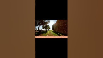 Why Seeking Enlightenment Is a Trap #substack #shorts #zen #zenattitude #zenshorts