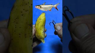 Tips on How to Put Bait on a Hook #shorts #fishing