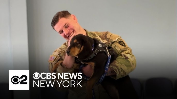 U S Soldiers Reunited With Dogs Rescued Overseas