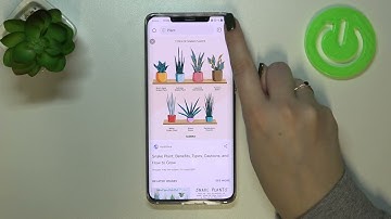 How to Clear Browser in HUAWEI Mate 50 Pro - Erase Browser Storage