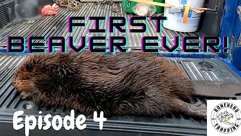 Trapping Beavers In PA 2021-2022 /Ep.04 S.01