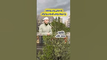 الله تعالي لا يقسم إلا بعظيم #تلاوة_خاشعة #تلاوة_هادئة #القارئ #الشيخ_محمد_زاهر