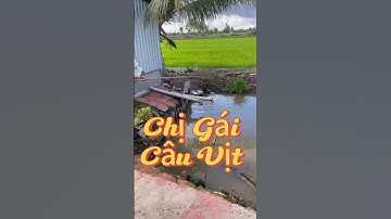 Vlog 1209 : Chị Gái Câu Vịt Quá Đỉnh #nghisuave #fishing #câucá #đammêcâucá #giaitri #batca #mientay