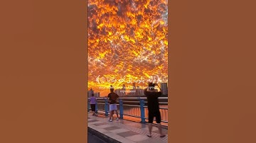 تلاوه قرآنيه بصوت عذب. #تلاوة #اكسبلور #المصحف #قران_كريم #عبدالرحمن_مسعد #لايك