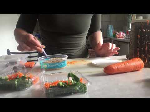 Lizard salad vol 1