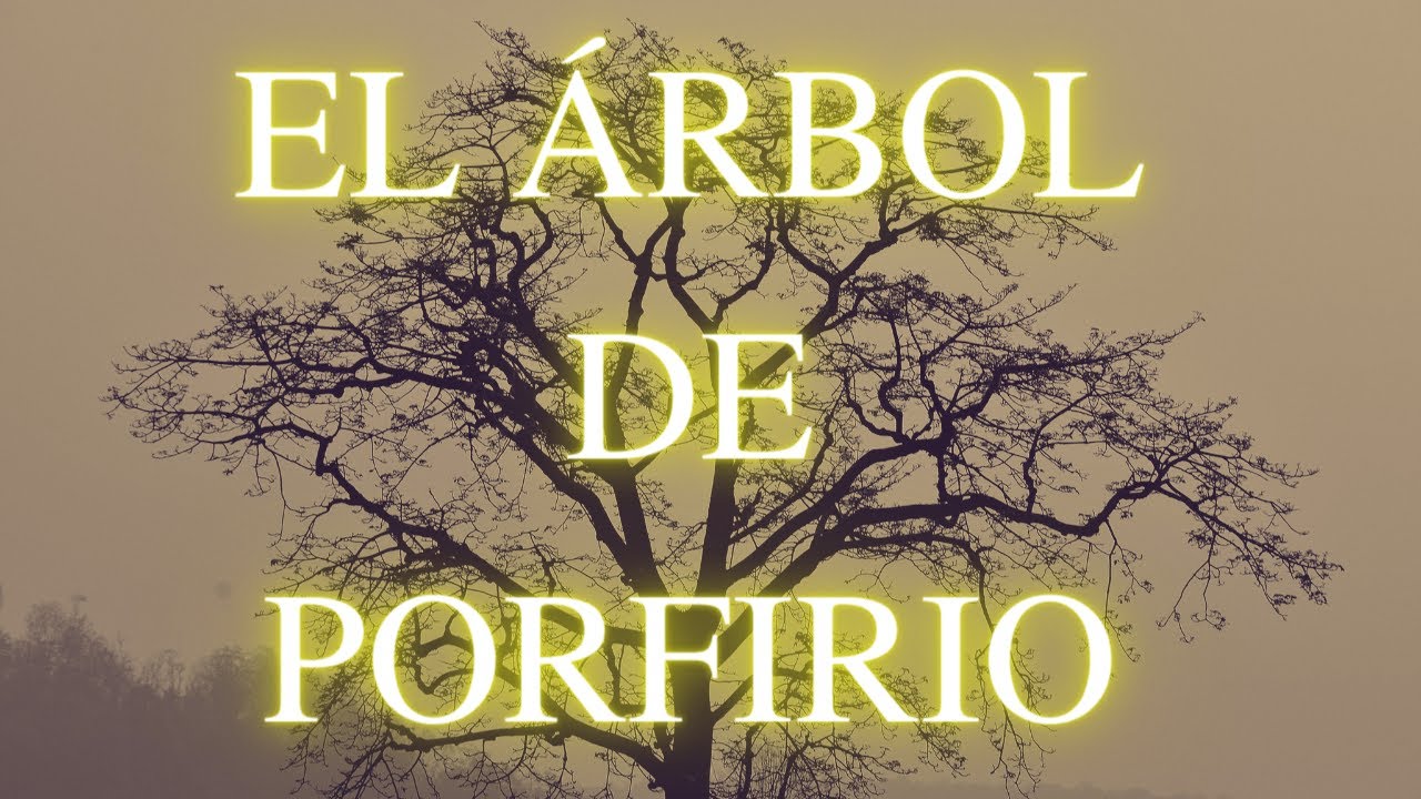 El Árbol de Porfirio - YouTube