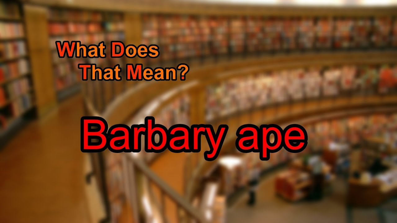 What does Barbary ape mean? YouTube
