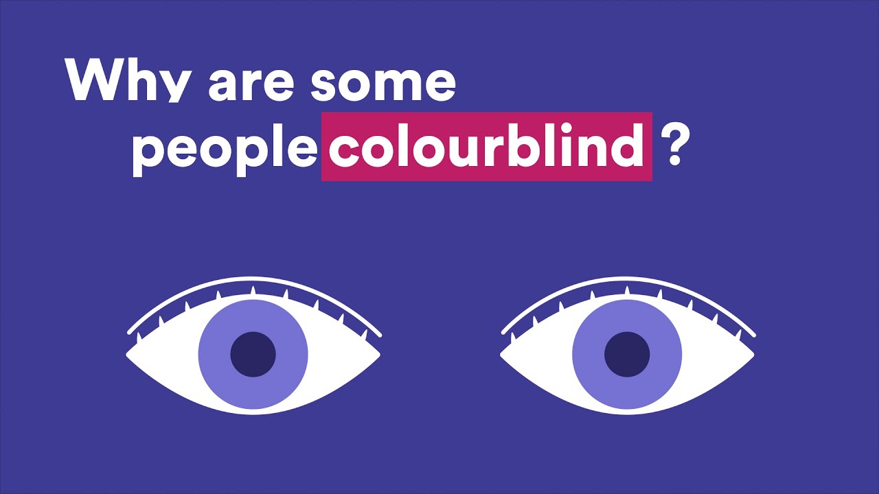 Why are some people colourblind? | Wonder Kids | Scitech WA