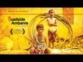 Roadside ambanis  best tamil short film winner norway