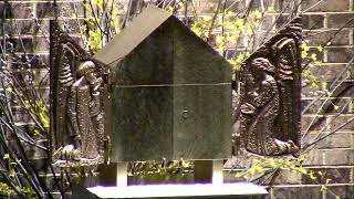 Good Shepherd Camp Hill | 03-19-26