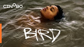 Bird Gr Subs Cinobo