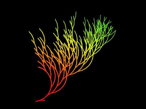 Collatz tree! in desmos
