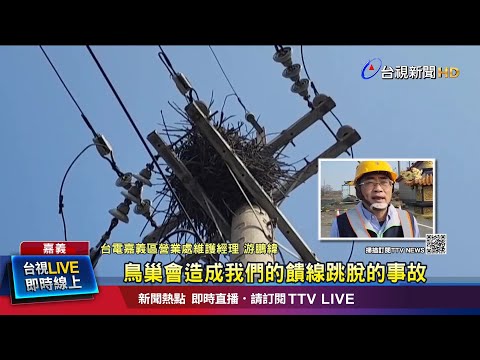 根本解決鳥問題 台電拆鳥巢大隊加強巡邏