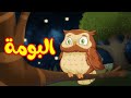البومة قناة بلبل  