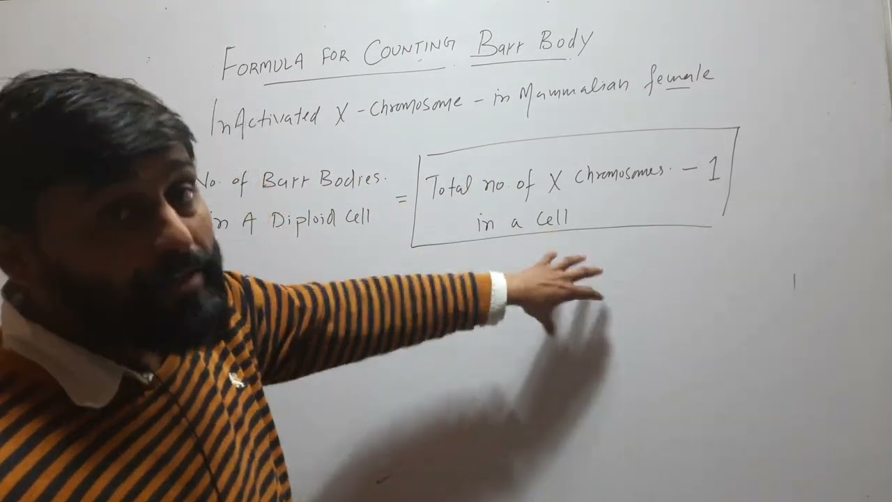Formula for Counting Barr body