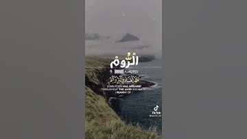 رعد الكردي تلاوه بصوت هادئ (الله الذي خلقكم والذي رزقكم)🍃🥀😭🥺