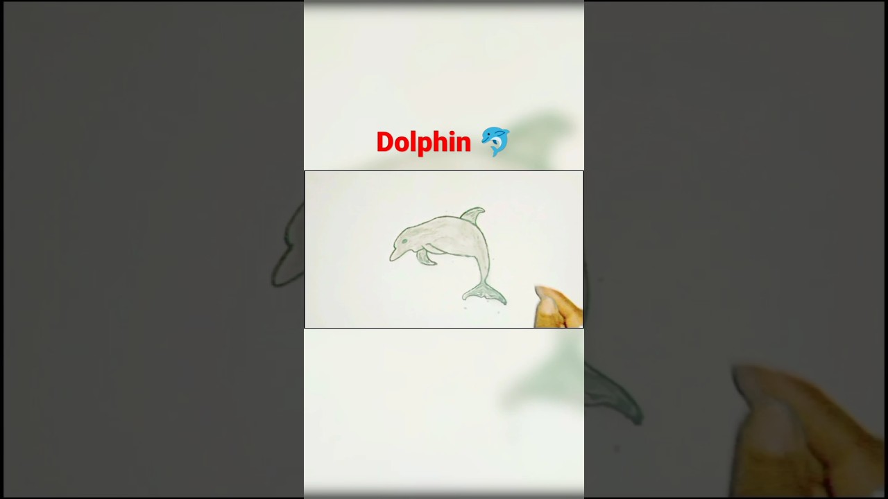 How to draw cute Dolphin step by step easy 