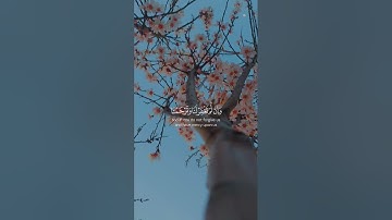 ( قالا ربنا ظلمنا انفسنا) # قران كريم# سعد الغامدي# راحة نفسية✨️💖
