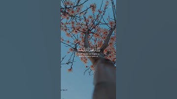 ( قالا ربنا ظلمنا انفسنا) # قران كريم# سعد الغامدي# راحة نفسية✨️💖