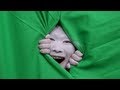 顔を裂いてみた！ Stalking Vampire〜隙間男〜 Behind the Scenes1