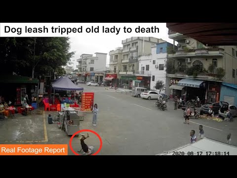 Running Dog tripped old lady to death with its leash