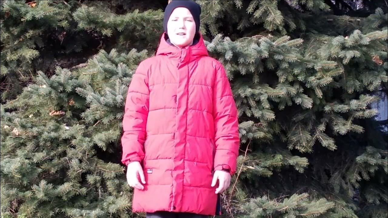 Никита Михель