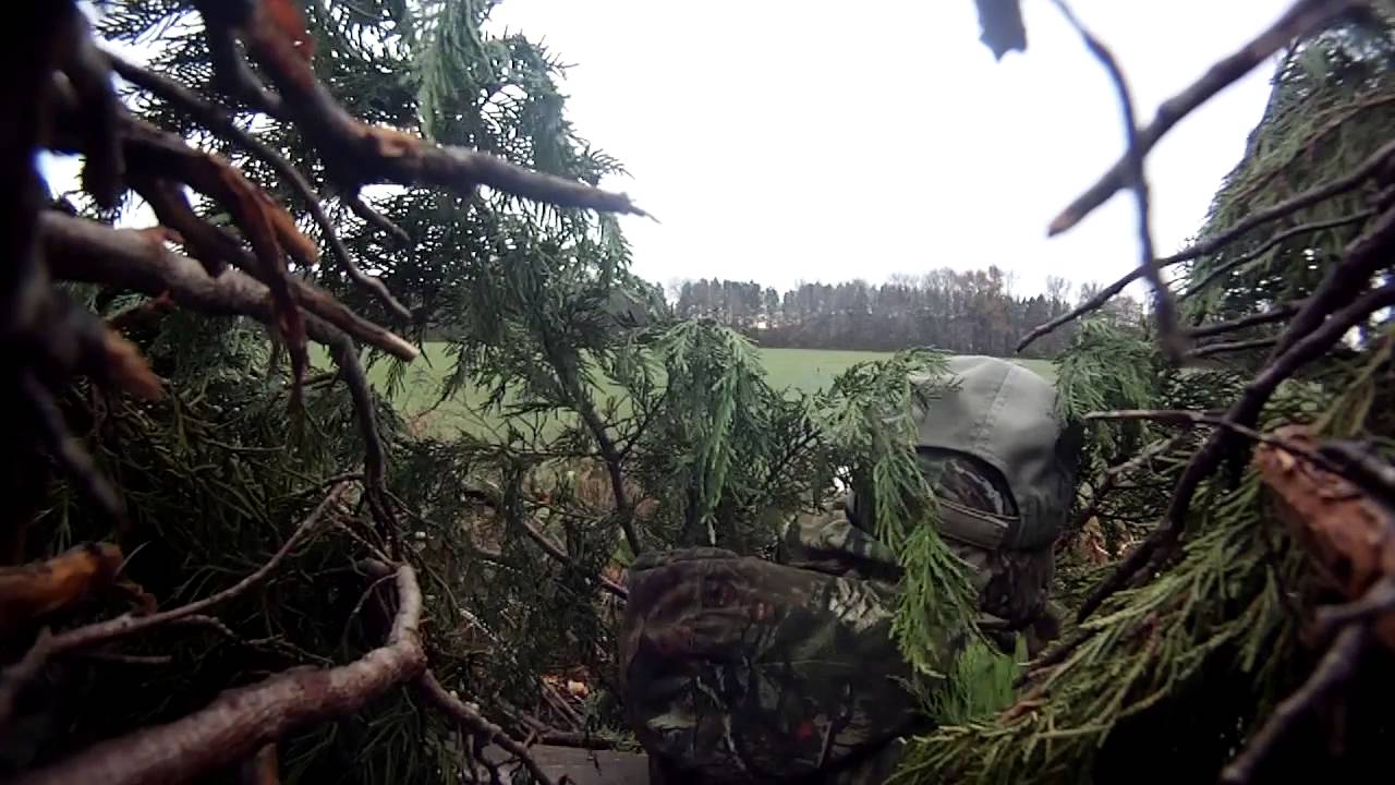 Goose Hunting Eastern Shore Maryland 2015 YouTube